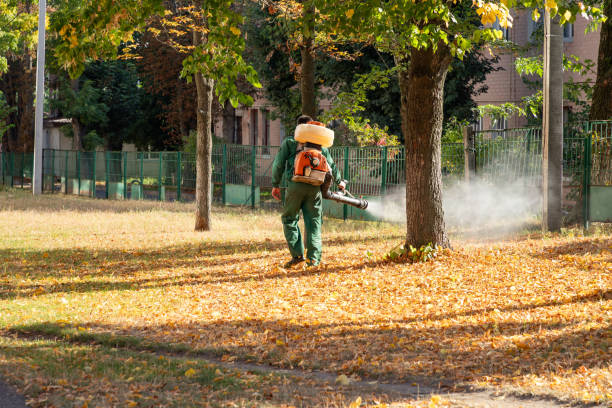 Wasp Removal Services in Aumsville, OR